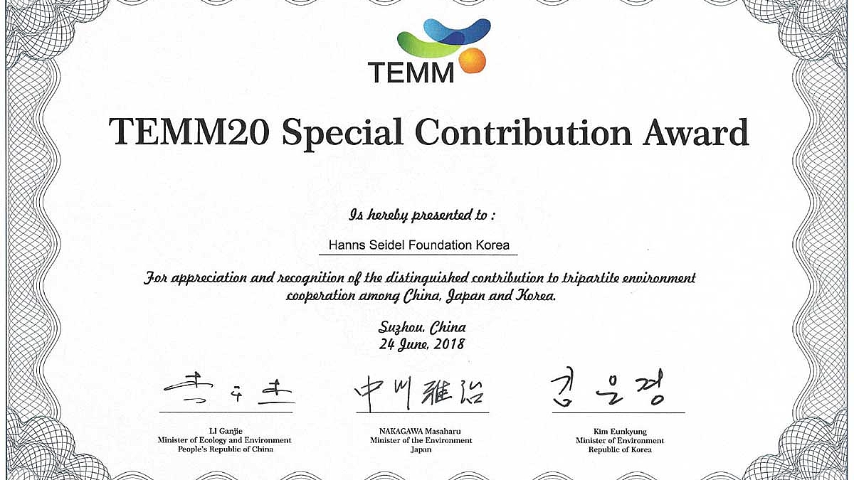 Urkunde: "TEMM20 Special Contribution Award"