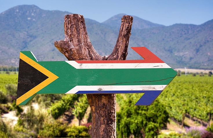 Ein Pfeil weist nach rechts aus dem Bild. Er ist aus Sperrholz an einen dürren Baum in einer weiten Ebene genagelt und in den Südafrikanischen Nationalfarben bemalt.